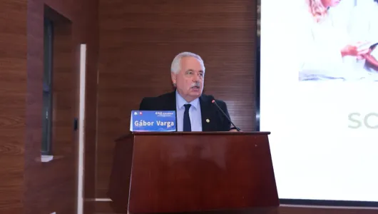 Varga G&aacute;bor