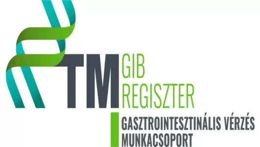 GIB Regiszter