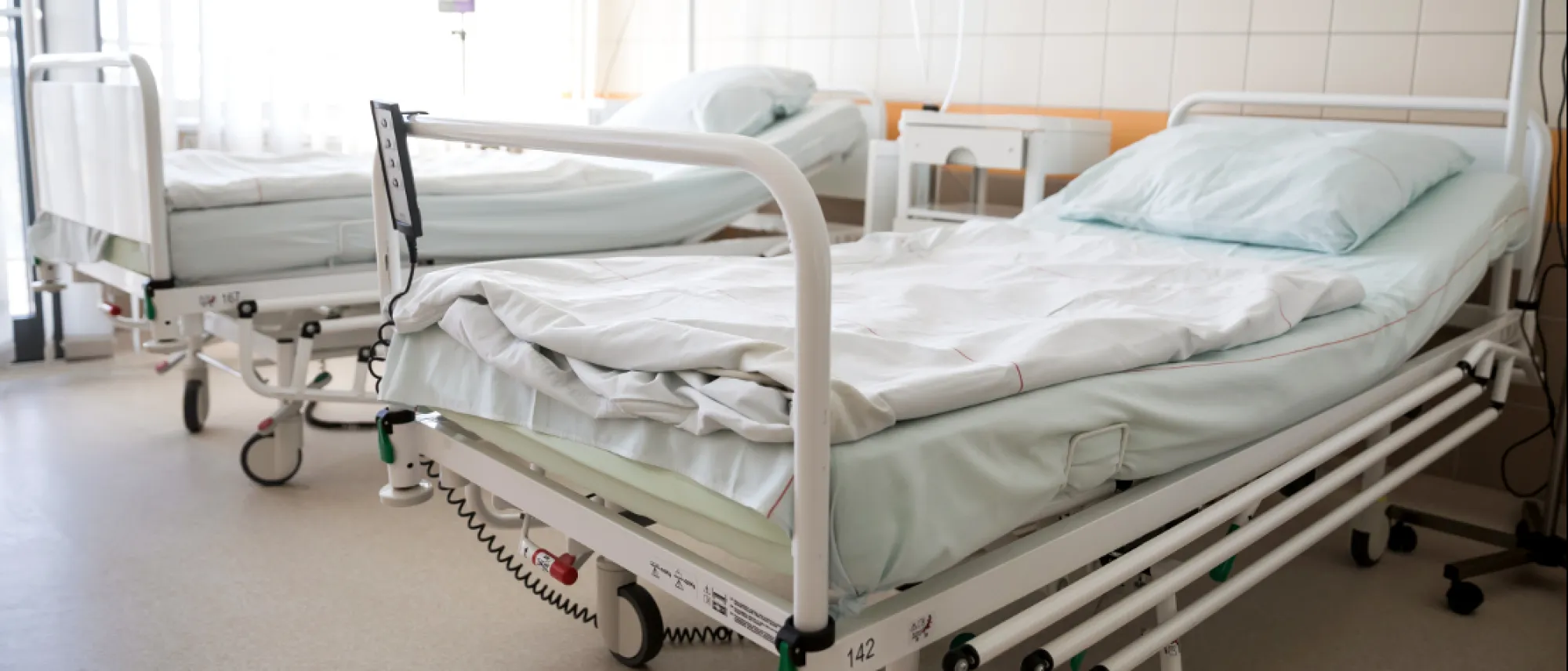 Transzlációs Medicina Központ